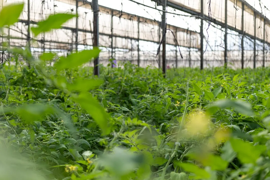 科��技术在企业级系统集成中的应用实践与效能提升案例