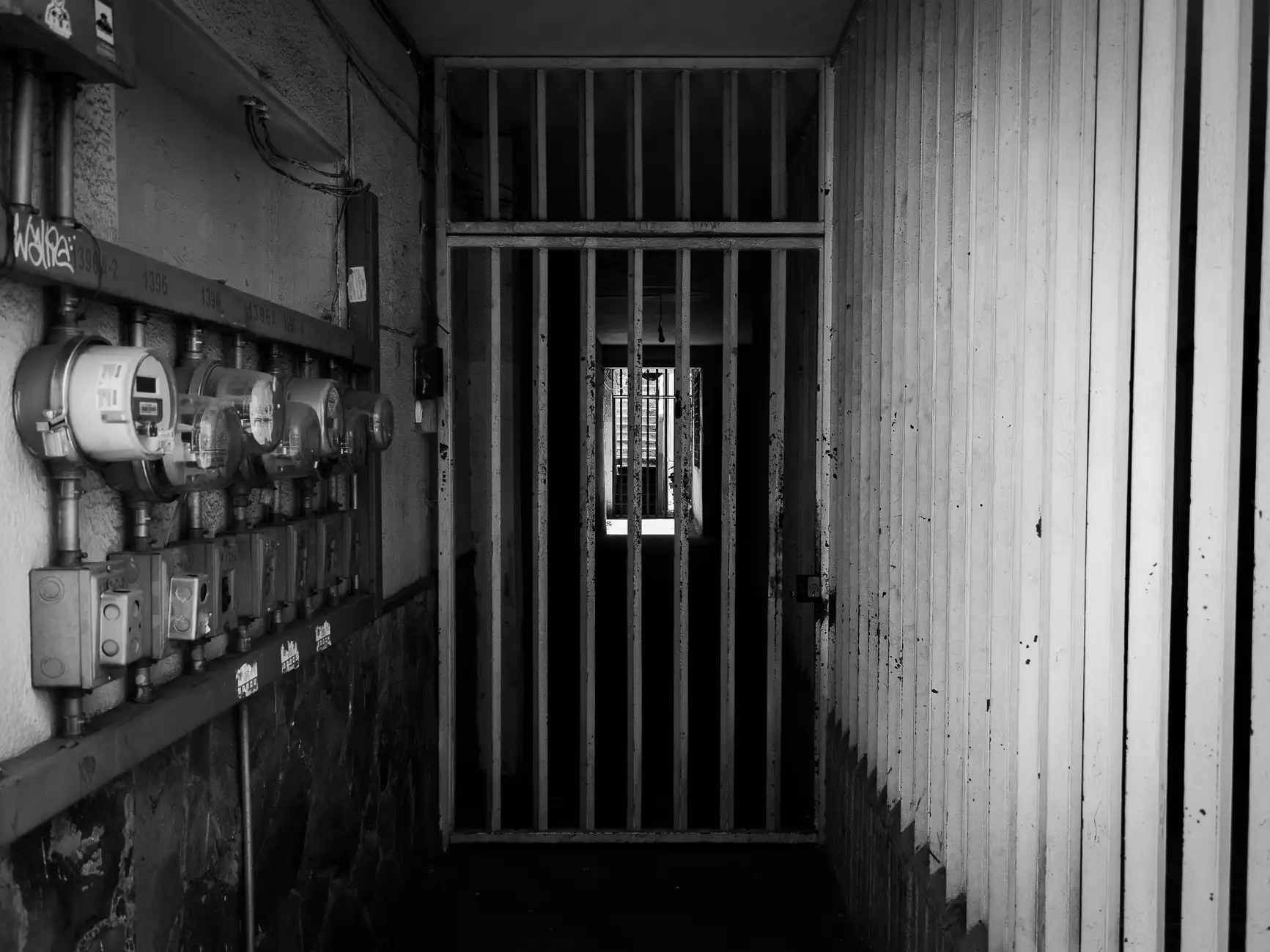 软件开发与数字化平台建设：大连智信众诚科技的核心技术优势
