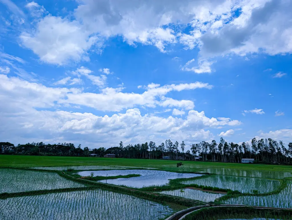大连地区企业数字化转型中的软件定制开发关键环节与实施要点